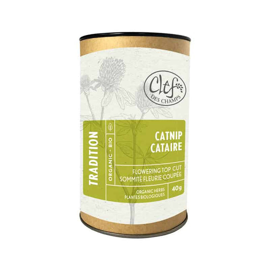 Organic catnip herbal tea