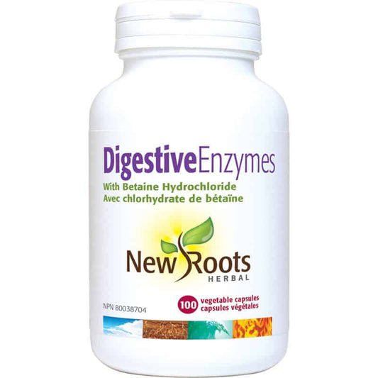 Enzymes Digestives||Digestive Enzymes