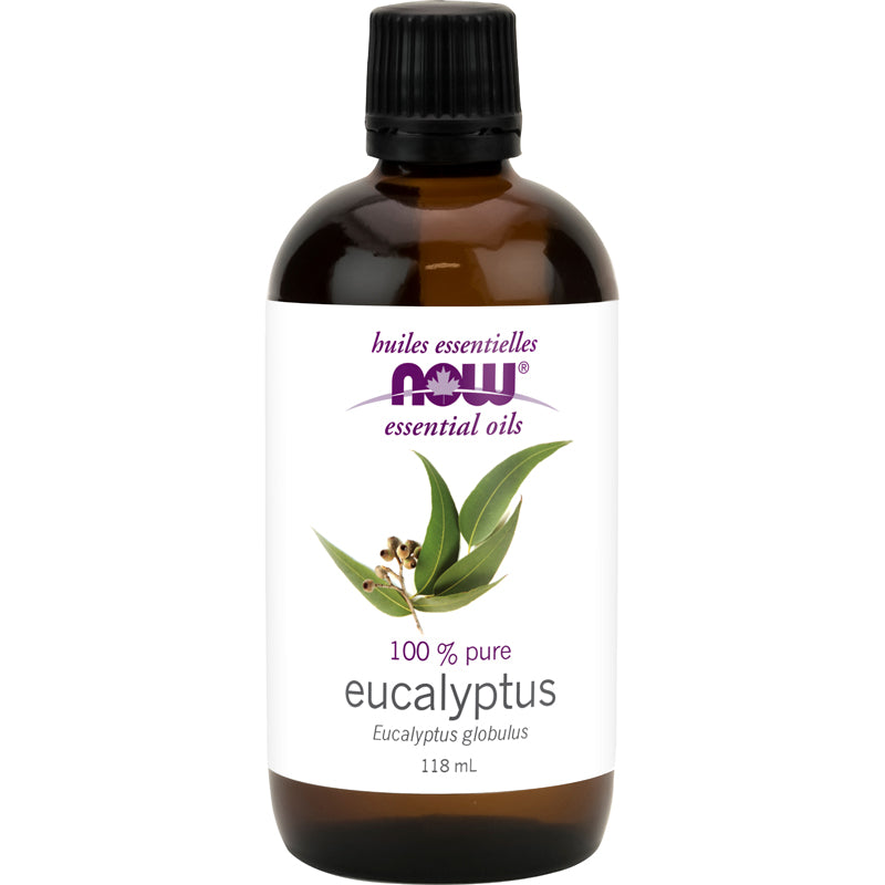 Essential Oil - Eucalyptus globulus