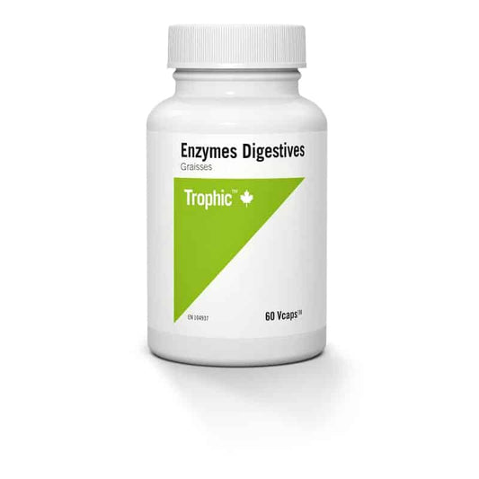 Enzymes Digestives - Graisses