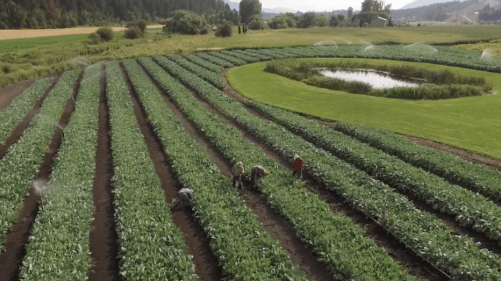 Un modèle d’agriculture inclusif pour des ingrédients exclusifs