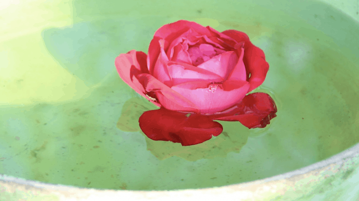 Les eaux florales