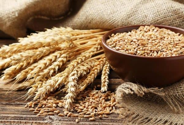 Manger sans gluten, pourquoi et pour qui ?