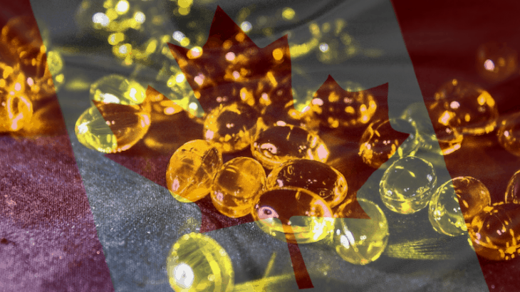 Des omégas 3 canadiens de poissons ou d’algues