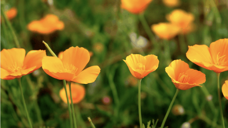 Une pratique ancestrale pour mieux dormir