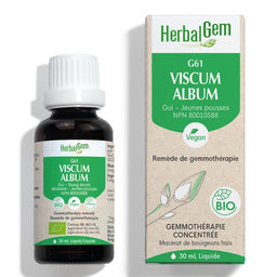 Herbal gem G61 Viscum album