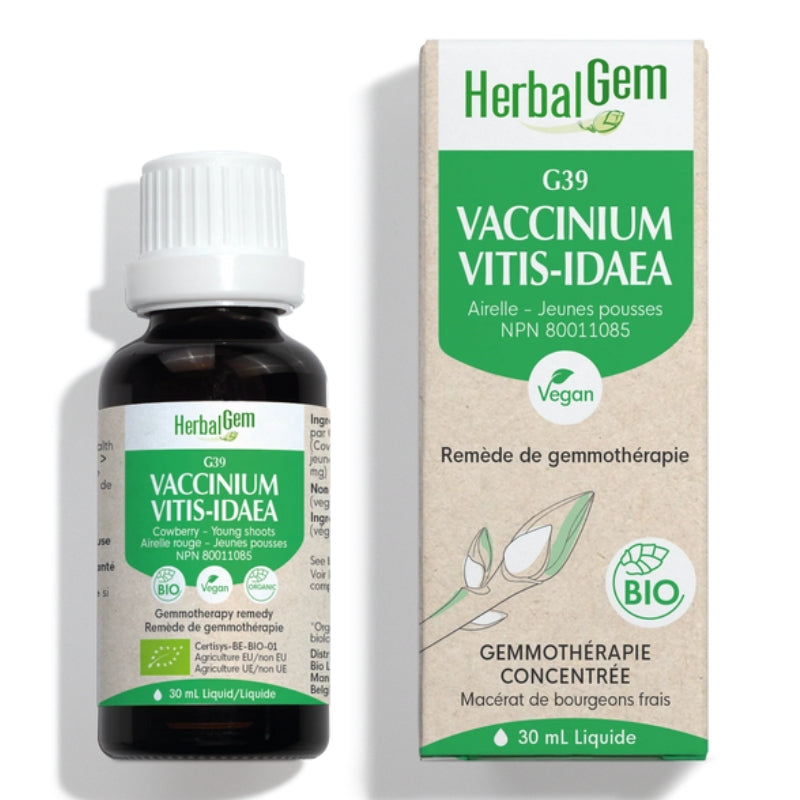 Herbalgem G39 Vaccinium Vitis-idaea