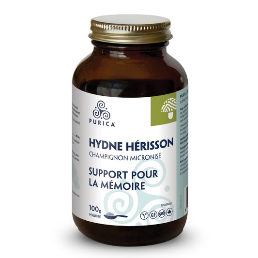 Purica Hydne Hérisson | Support pour la mémoire - poudre 