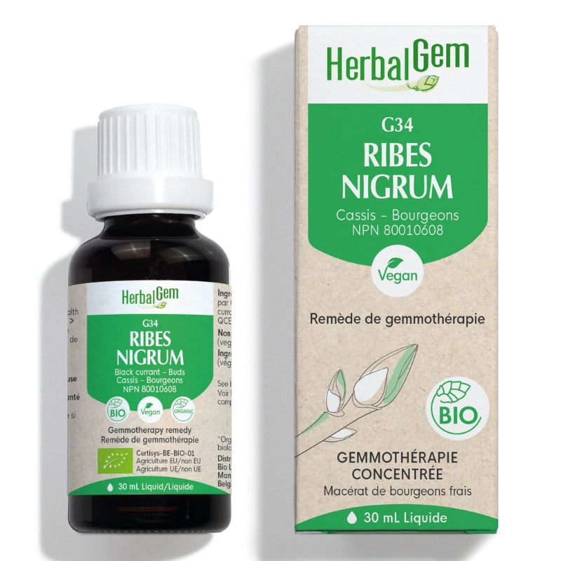 HerbalGem G34 Ribes nigrum