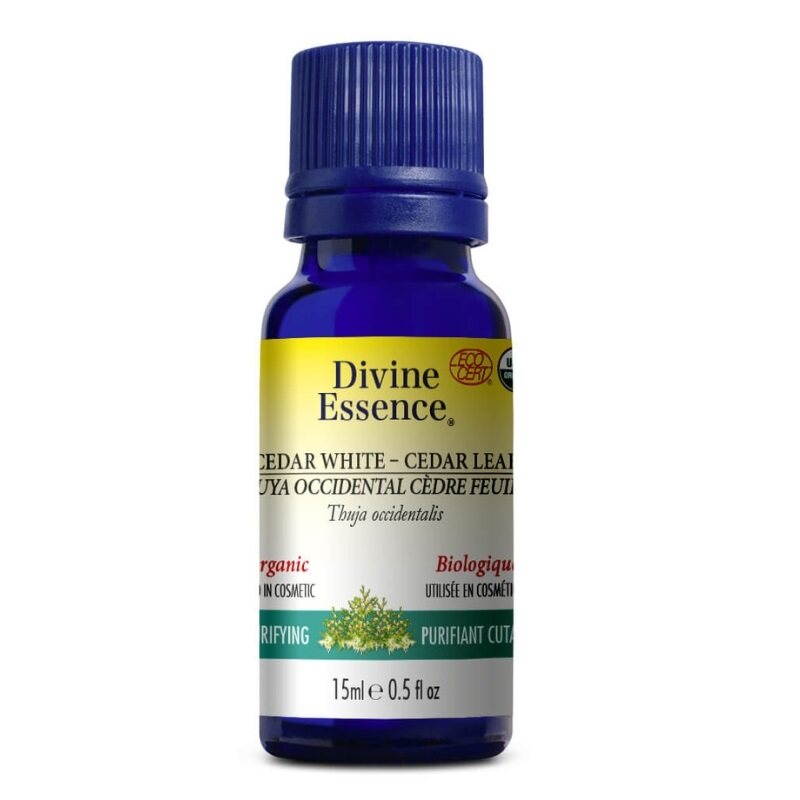 divine essence huile essentielle biologique - thuya occidental cèdre feuille 15 ml