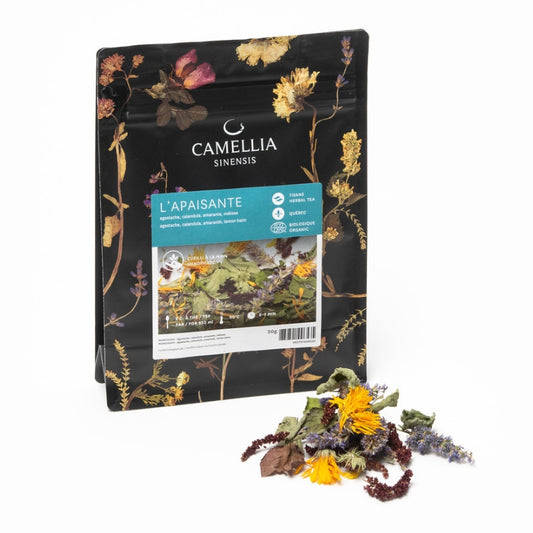 Camellia sinensis Tisane L'apaisante Herbal Tea L'apaisante
