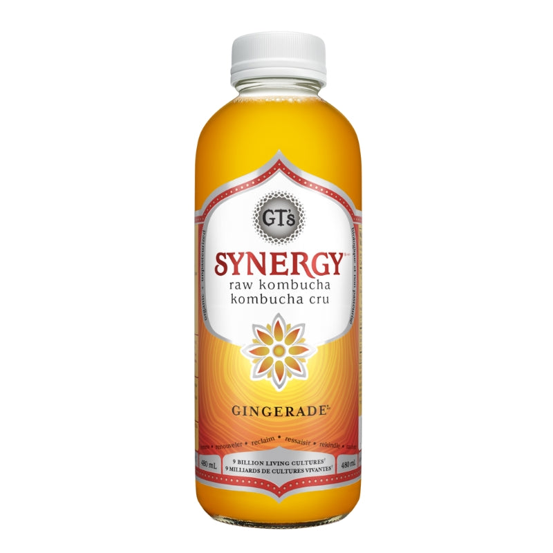 Gt's Kombucha cru synergie - Gingerade