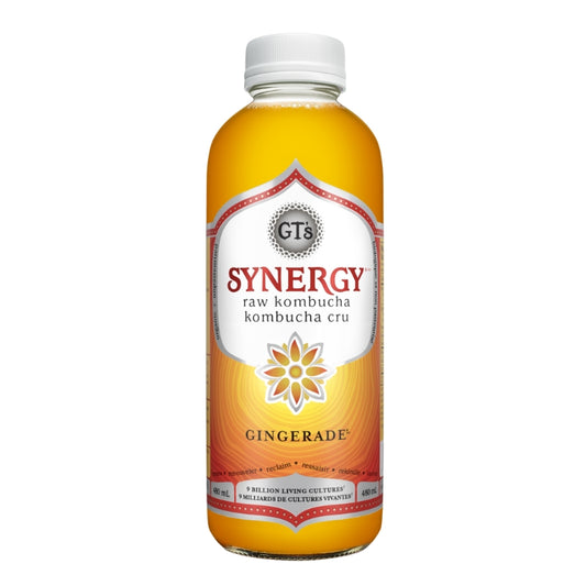 Gt's Kombucha cru synergie - Gingerade