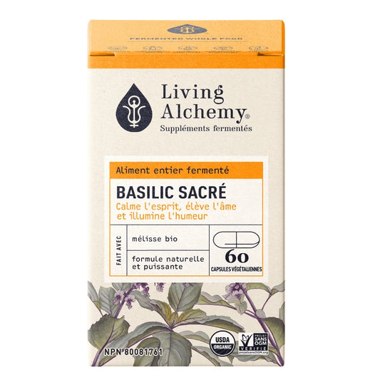 Living alchemy Basilic sacré 