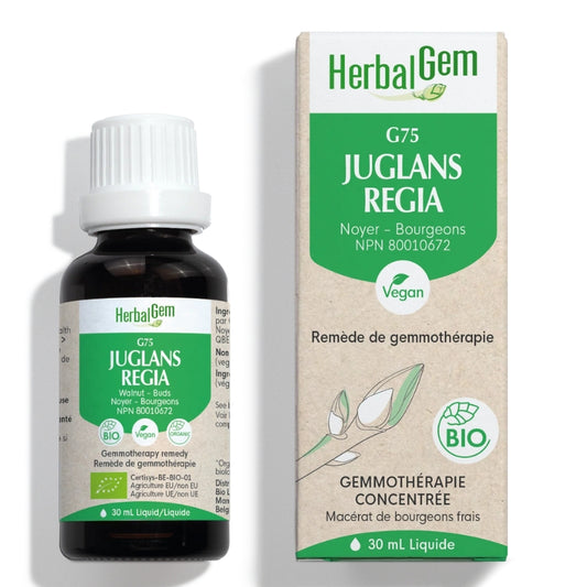 Herbal Gem Juglans regia | G75