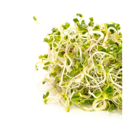 Mumm's Sprouting Seeds rocoli et crucifères biologique 