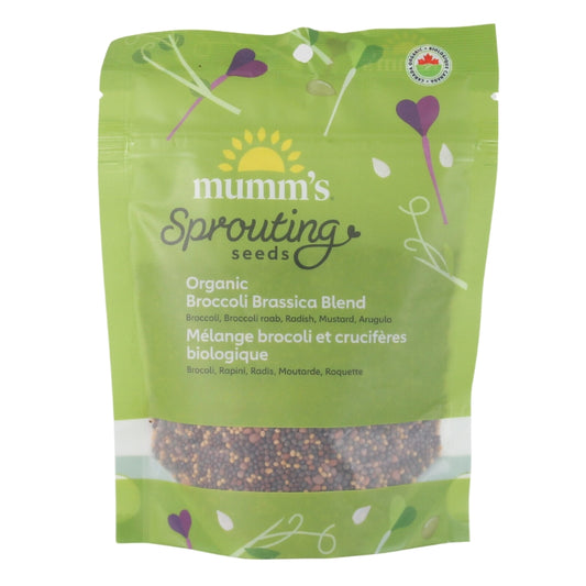 Mumm's Sprouting Seeds rocoli et crucifères biologique 