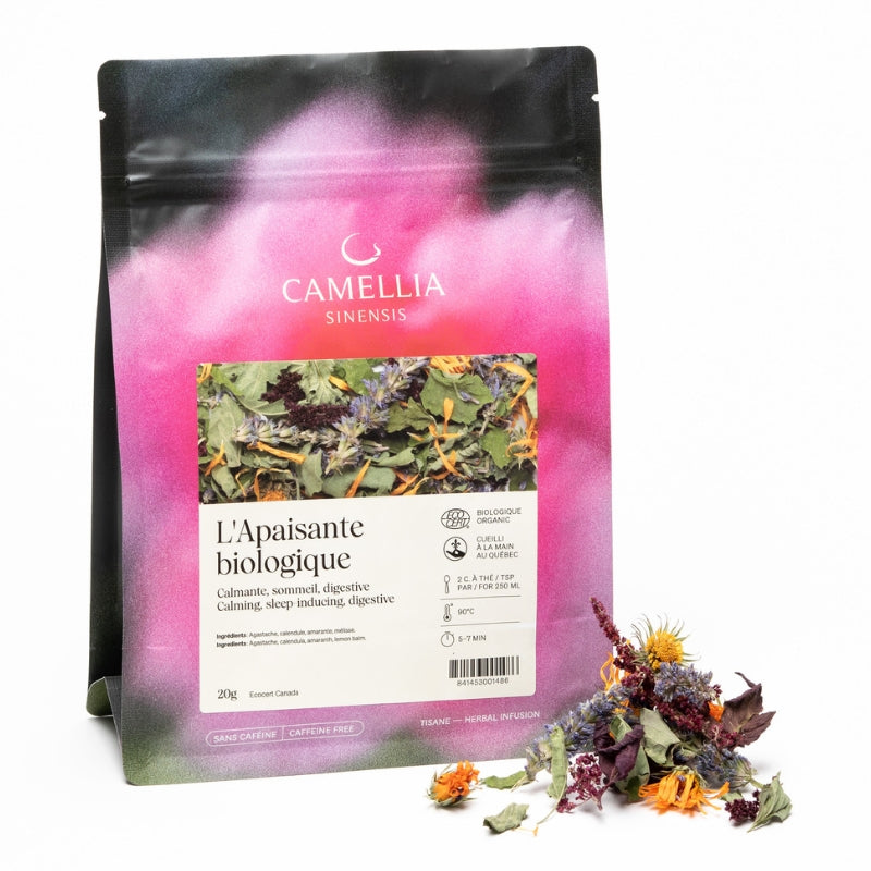 camelia sinensis Tisane L'apaisante