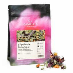 camelia sinensis Tisane L'apaisante