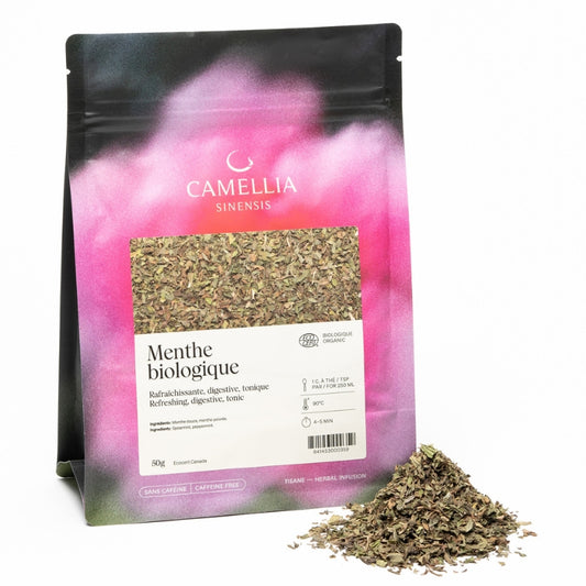 camellia sinensis Tisane - Menthe biologique