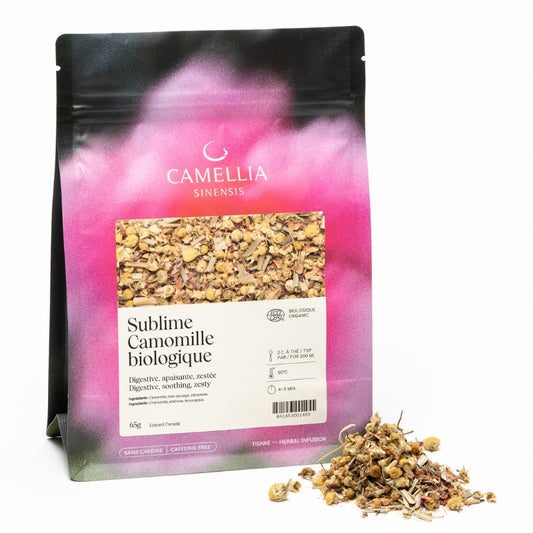 camellia sinensis - Tisane - Sublime Camomille biologique