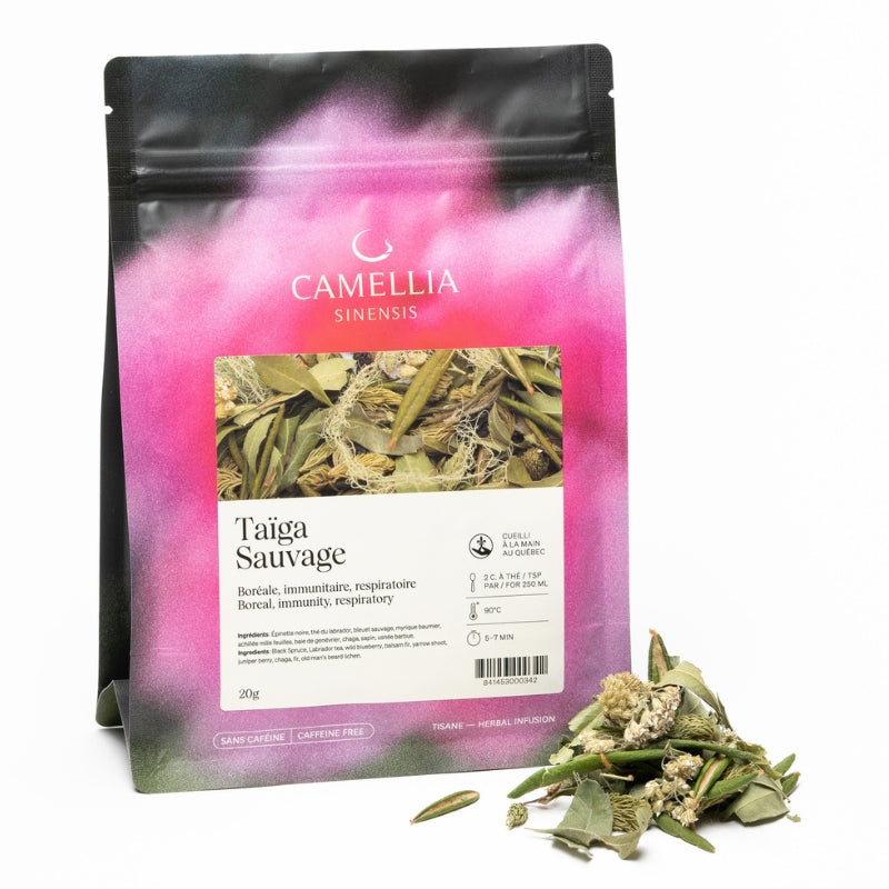 camellia sinensisLa taiga sauvage
