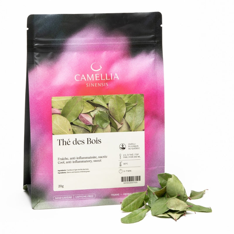 camellia sinensis tisane - thés des bois