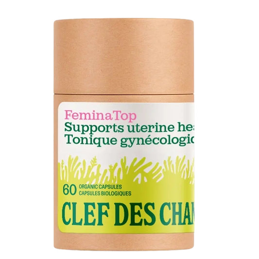 Clef des champs Capsules Ortie Bio 290 mg