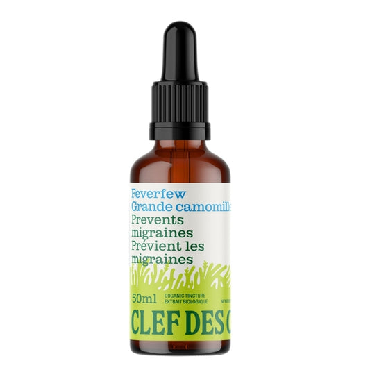 Clef des champs Teinture Grande Camomille Bio 50 ml
