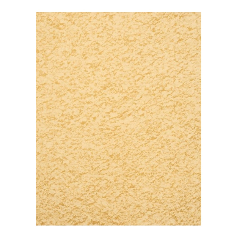 Dion - Ail en poudre biologique - texture