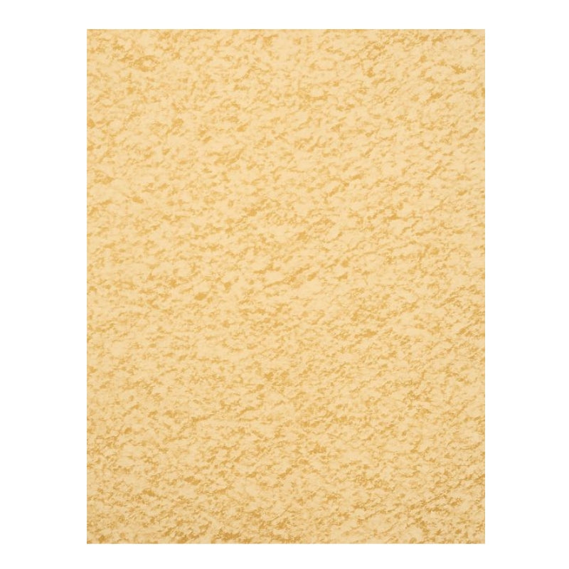 Dion - Ail en poudre - texture