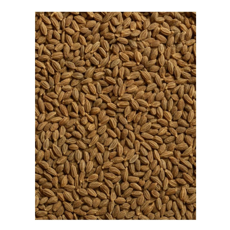 Dion - Anis en graines biologique - texture