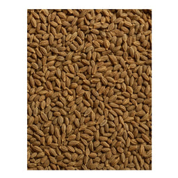 Dion - Anis en graines biologique - texture