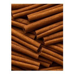 Dion - Cannelle en bâton - texture
