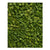 Dion - Ciboulette fine - texture