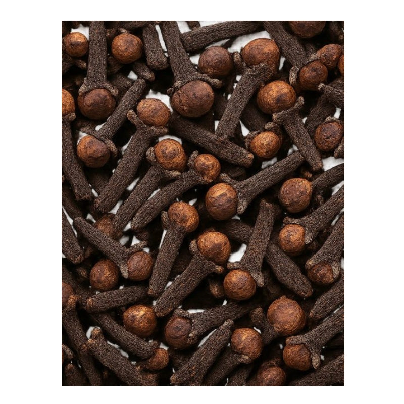 Dion - Clous de girofle biologiques - texture
