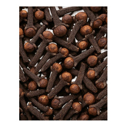 Dion - Clous de girofle biologiques - texture