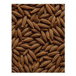 Dion - Cumin en graines biologique - texture