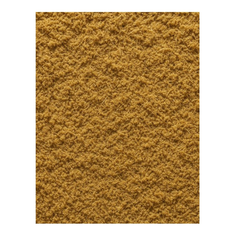 Dion - Fenouil moulu biologique - texture