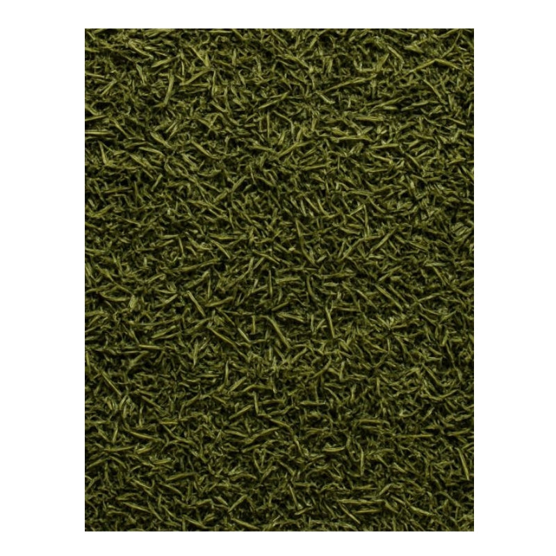 Freeze dried dill weed