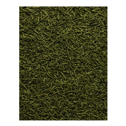 Freeze dried dill weed