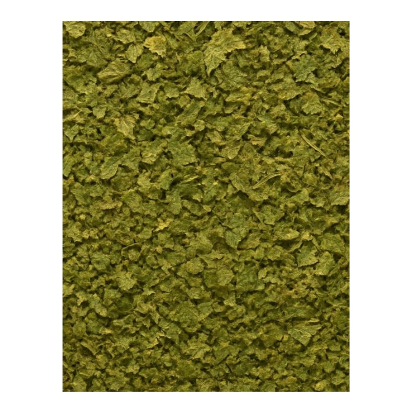 Dion - Feuilles de coriandre biologiques - texture