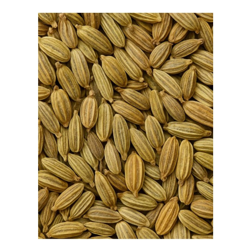 Dion - Graines de fenouil biologiques - texture