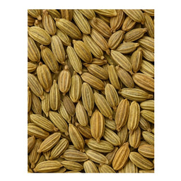 Dion - Graines de fenouil biologiques - texture