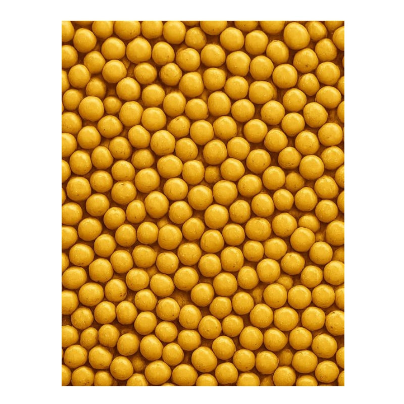 Dion - Graines de moutarde biologiques - 63 g