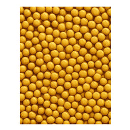 Dion - Graines de moutarde biologiques - 63 g