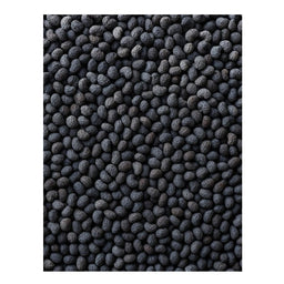 Dion - Graines de pavot biologiques - texture