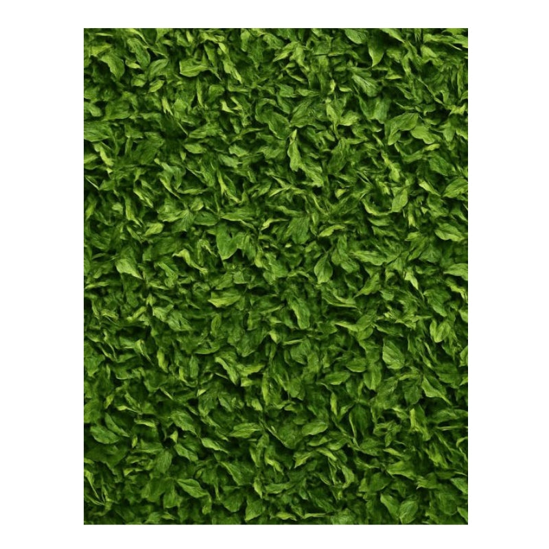Dion - Persil - texture