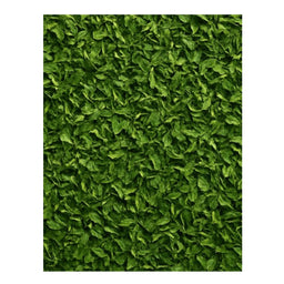 Dion - Persil - texture