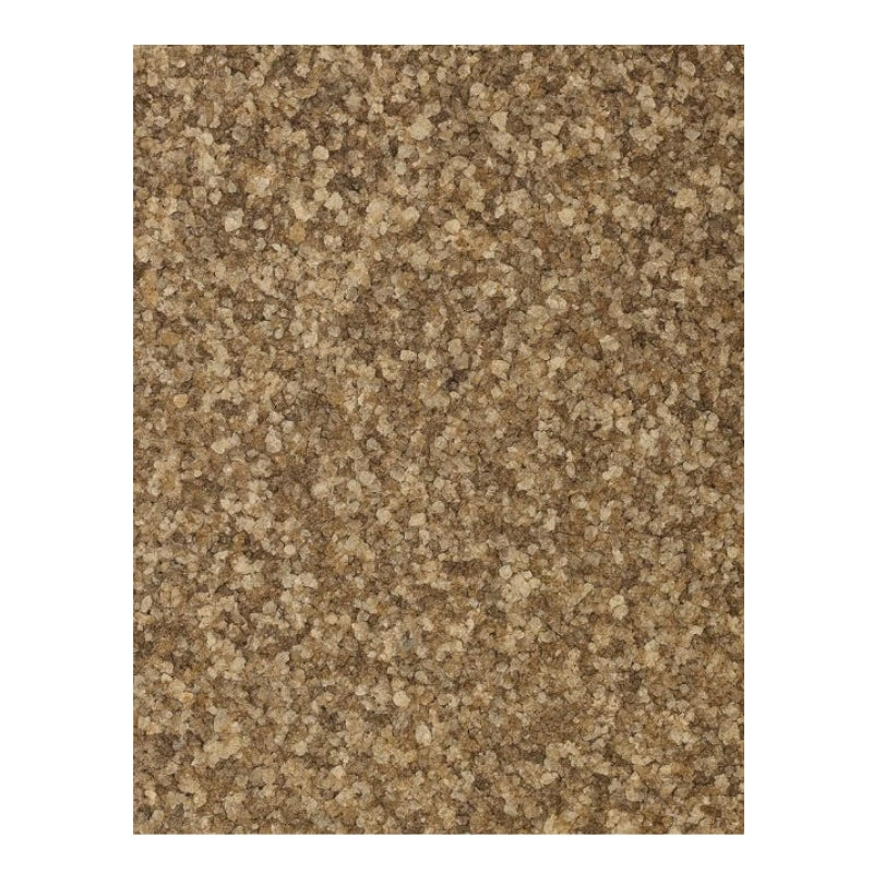 Dion - Sel de céleri biologique - texture